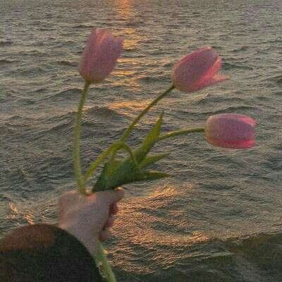 满堂彩手机app下载截图